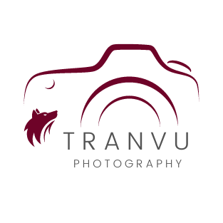 tranvu
